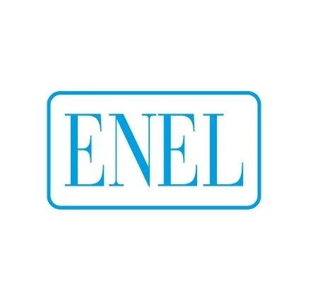 Primo logo Enel 1963